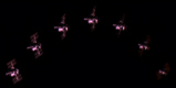 Internationale Raumstation und Space Shuttle Discovery am 04. März 2011